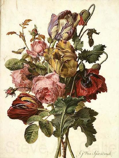 Gerard van Spaendonck Bouquet of Tulips, Roses and an Opium Poppy, with a Pale Clouded Yellow Butterfly, a Red Longhorn Beetle and a Sevenspotted Ladybug